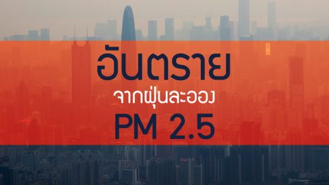 ในวันที่ฝุ่นละออง PM 2.5 คลุมเมือง