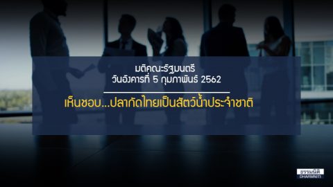 คณะรัฐมนตรีมีมติเห็นชอบให้ ‘ปลากัดไทย’ เป็นสัตว์น้ำประจำชาติ