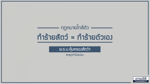 กฎหมายใกล้ตัวทำร้ายสัตว์เท่ากับทำร้ายตัวเอง