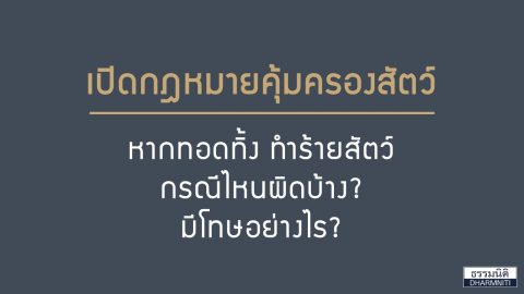 กฏหมายคุ้มครองสัตว์! ทอดทิ้ง ทำร้ายสัตว์ มีโทษอย่างไร?