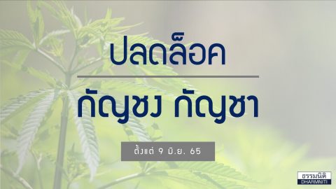 ปลดล็อค “กัญชง กัญชา” ตั้งแต่ 9 มิ.ย. 65