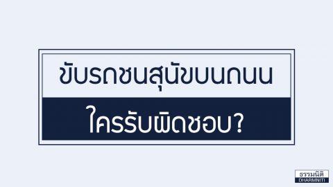 ขับรถชนสุนัขบนถนน ใครรับผิดชอบ?