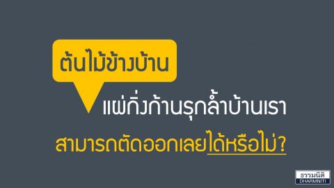 ต้นไม้ข้างบ้านแผ่กิ่งก้านรุกล้ำบ้านเรา สามารถตัดออกเลยได้หรือไม่?