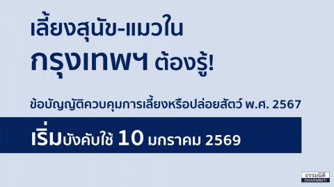เลี้ยงสุนัข-แมวในกรุงเทพฯ ต้องรู้ ข้อบัญญัติควบคุมการเลี้ยงหรือปล่อยสัตว์ พ.ศ. 2567